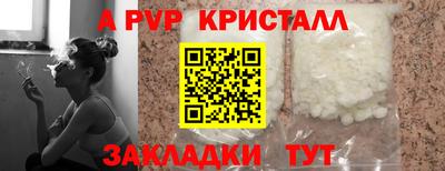 ПСИЛОЦИБИНОВЫЕ ГРИБЫ Нальчик