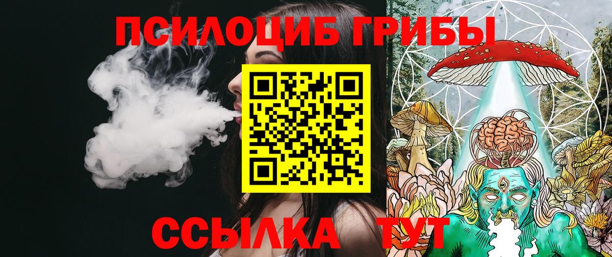 Галлюциногенные грибы мухоморы  купить наркотик  Урус-Мартан  Псилоцибиновые грибы мухоморы  Вход с VPN 