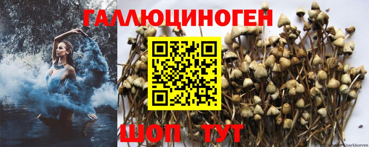 Галлюциногенные грибы мицелий Урус-Мартан
